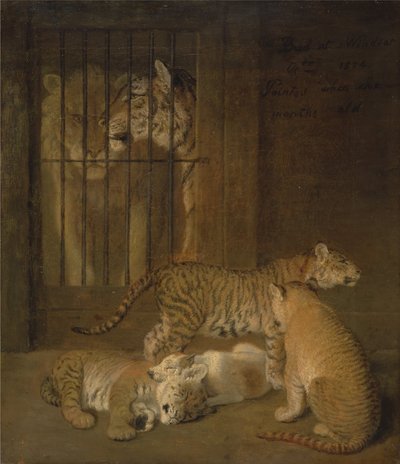 Gruppo di cuccioli allevati tra un leone e una tigre da Jacques Laurent Agasse